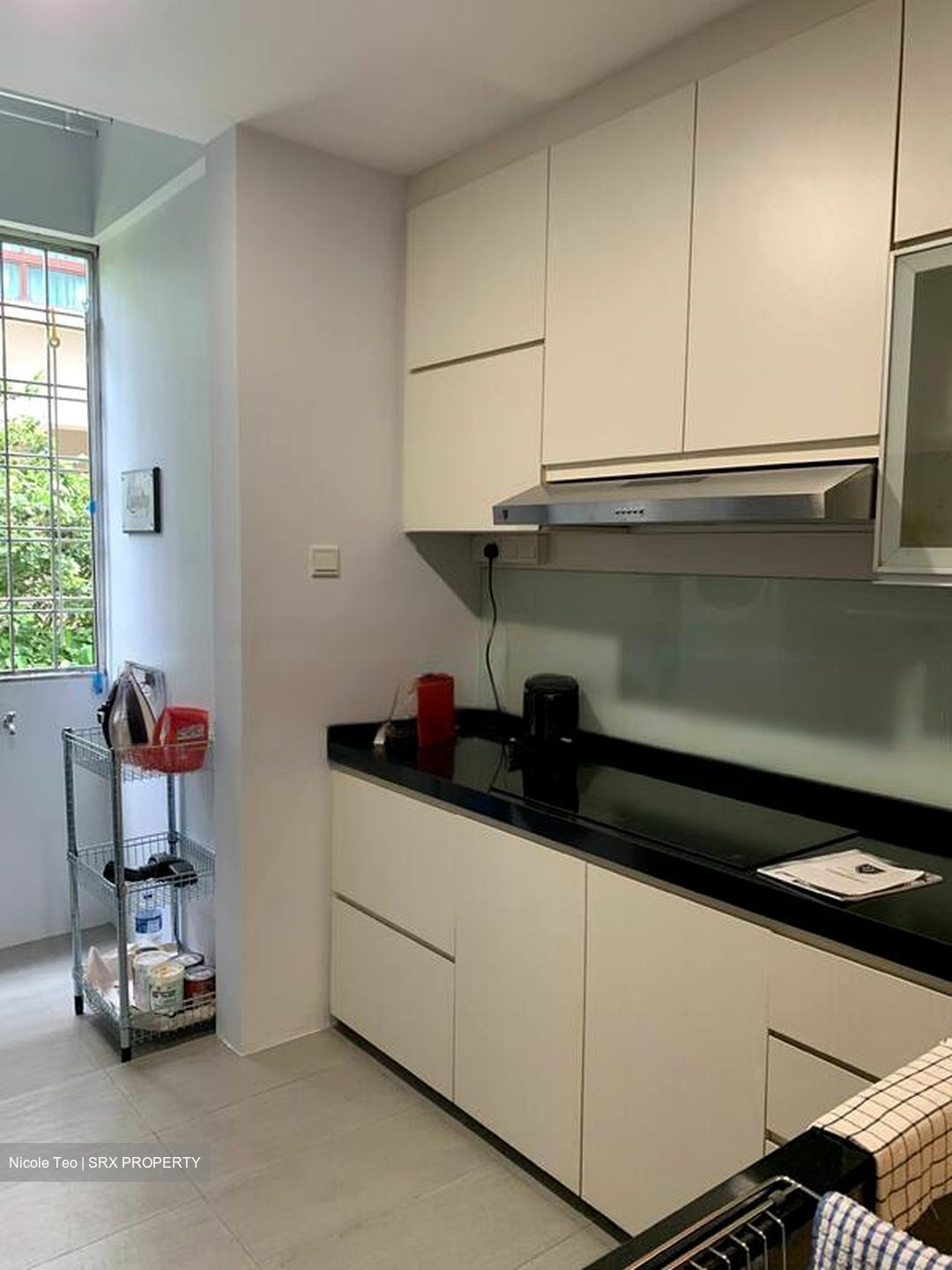 Royale Mansions (D15), Apartment #461095971